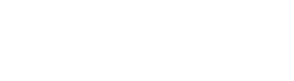 Bourne Partners